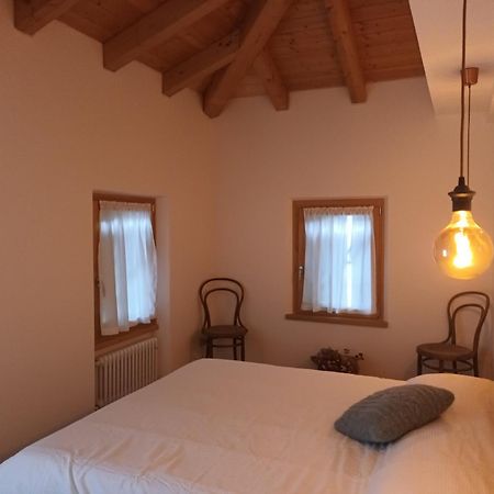 Ciasa De Le Nene - Dolomiti Guesthouse 皮耶韦迪卡多雷 外观 照片