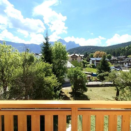 Ciasa De Le Nene - Dolomiti Guesthouse 皮耶韦迪卡多雷 外观 照片